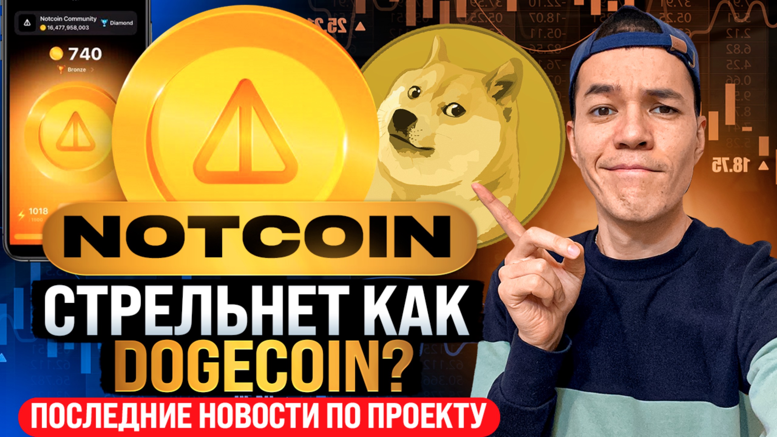 Notcoin и DOGs - сколько можно падать? | Стоит ли держать токены?