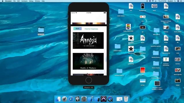 iOS Application Development