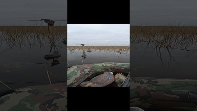 охота на утку смотреть онлайн