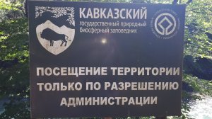 Кавказский государственный природный биосферный заповедник.