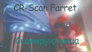 Пробую 3D-сканер CR-Scan Ferret в действии