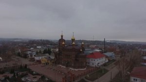 Фонд «Сосновый остров» (Саратов)