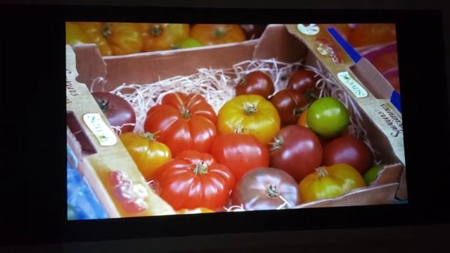 Black wall paper screen night viewing luminous red colors and vibrant colors смотреть онлайн