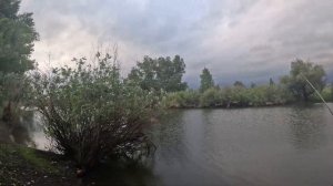 Лучший спиннинг для НАНО Джига - Duo TETRA WORKS React TWRT-55