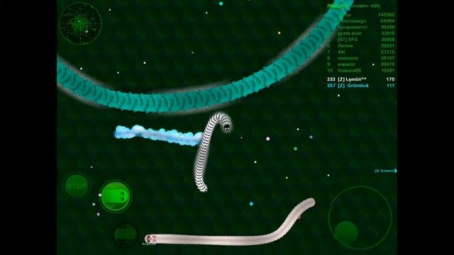 Wormax.io | СТРИМ | одиночная игра | смотреть онлайн