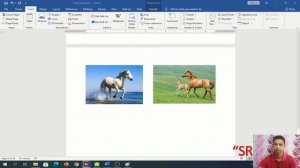 How to take Screenshots in Windows 10 Desktop - How to Print Screen @ Easy Ways || SrijonAcademy4U