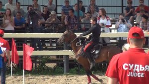 Цирковая (круговая) вертушка