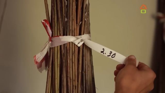 Русская ива в Дачном ответе. Выпуск от 20.11.2022г. смотреть онлайн