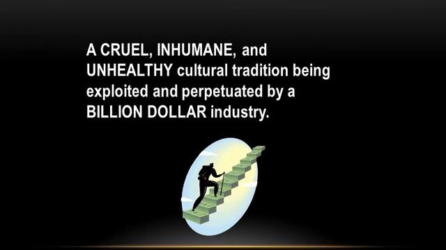 Milk Presentation Windows Media Format смотреть онлайн