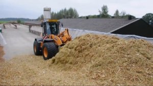 Case 721F & 821F wielladers aan het werk tijdens het maisseizoen