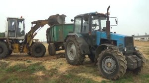 Трактора МТЗ 1221 и грузовики МАЗ 5551 вывозят навоз с фермы