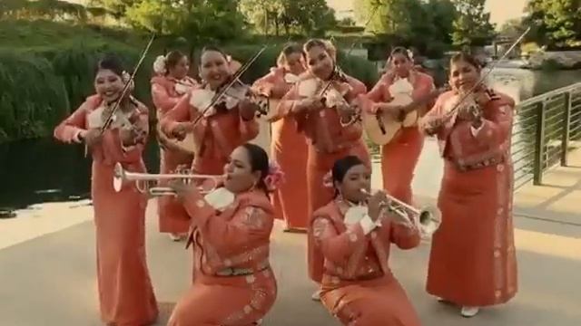 happy birthday to my love Apple🎂💝💝💝 смотреть онлайн