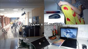 ВЛОГ ВЫПУСКНИЦЫ: поездка в университет, разбор долгов, подготовка к ЕГЭ, учебная мотивация