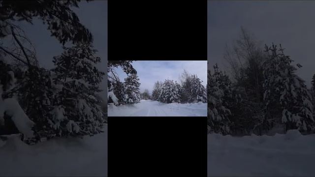 Едем в лесу! Больше роликов уже на канале #путешествия #природа #весна #shorts