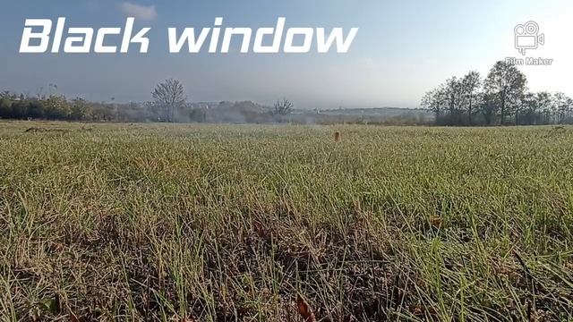 Mamba vs Black window смотреть онлайн