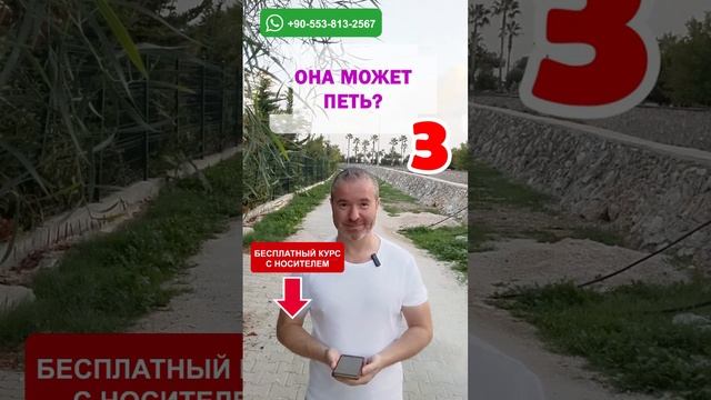 Тренажёр 135: Освойте английский язык за несколько уроков