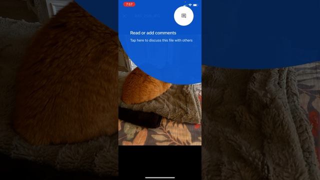 Google Drive app on iPhone
