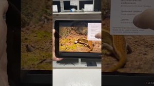 Планшет Apple iPad 5-го поколения