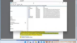 Fix Update Error 0x8007065e; Feature Update failed to install in Windows 11/10