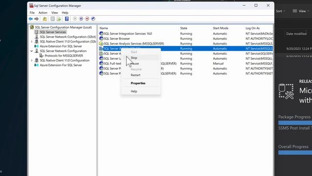 Database Programming 06: Setting Up Microsoft SQL Server