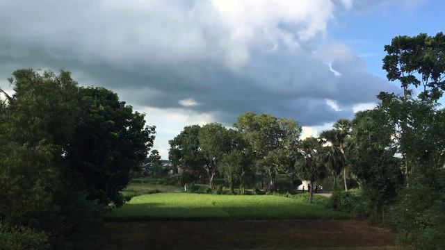 View from my window (Day 1) смотреть онлайн