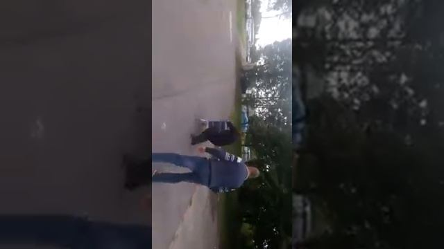 Украинцы рулят в Польше смотреть онлайн