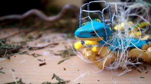 ГОЛОВОЕД И ЛЕГО ДИНОЗАВРЫ. СБОРНИК МУЛЬТФИЛЬМОВ для детей