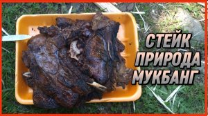 СТЕЙК ПРИРОДА МУКБАНГ