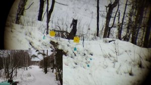 Тигр 7.62х54 530мм развлекательная стрельба по двум гонгам на 350 метров