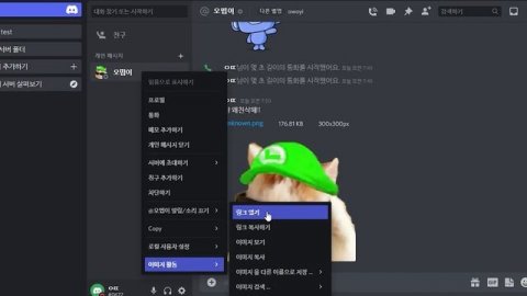 디스코드 플러그인 20가지 (삭제된 메시지보기, 뒷삭 알림, 숨겨진 채널보기 등등...) 리뷰 및 다운로드!