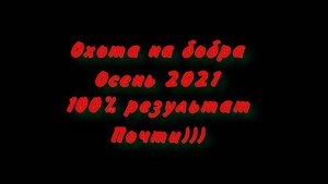Охота на бобра. Впервые охочусь. Установка капканов КП-250