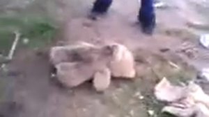 3 guys 1 hammer