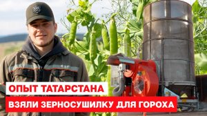 Взяли зерносушилку для гороха. Опыт фермеров Татарстана