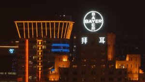 Bayer Brand Logo Clip