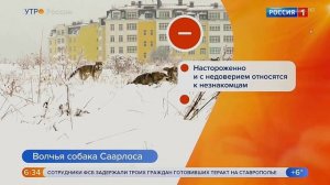 Модуль Триколор на ресивере GoldMaster S530-UHD-CI+