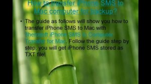 How can I transfer SMS from iPhone 5 to Mac