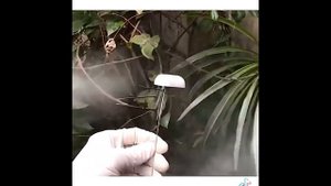 Восстановление наушников APPLE AirPods II