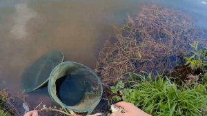 РЫБАЛКА НА КАРАСЯ НА ДОНКУ | ГОТОВКА НА КОСТРЕ