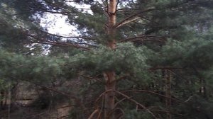 DSCN5104Кисловодск Санаторий ПИКЕТ 2022 ГОДЫ