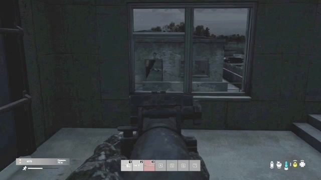 Dayz