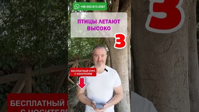 Тренажёр 123: Освойте английский язык за несколько уроков