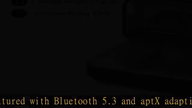 Airplane Bluetooth 5.3 Adapter for Headphones W/Portable Charging Case Support aptX Adaptive/HD/Low смотреть онлайн