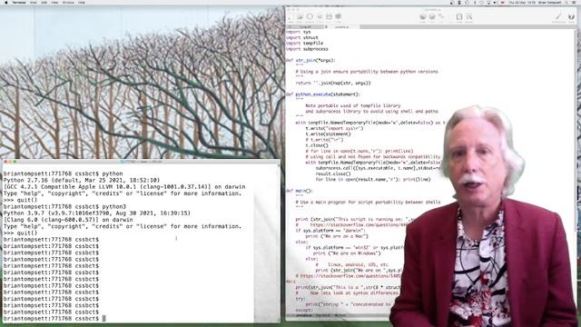 Python for Programmers - Programming Peculiarly Perfectly Pretty Portable Python