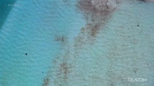 Private Island 🏝 Tropical Drone Views | Motu Tane Bora Bora, French Polynesia 🇵🇫 | 4K UHD Travel