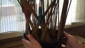 Русская ива. Мастер-класс по плетению живого дерева из ивы.