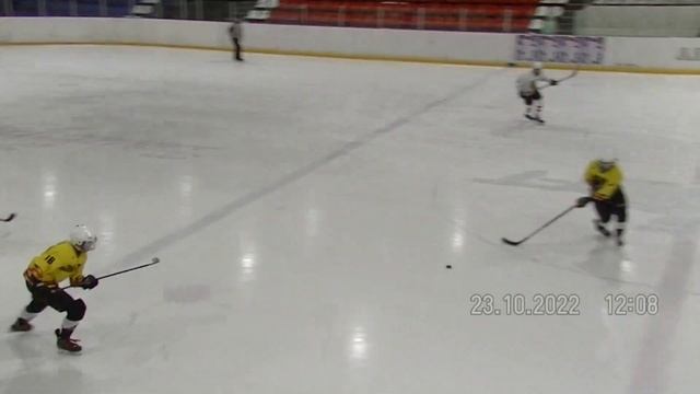 Лесные Пчёлы 2005-2006 Елабуга - Нефтяник 2005-2006 Лениногорск 2 период смотреть онлайн