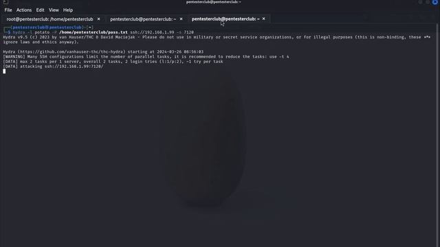 Exploring Linux Kernel Penetration Testing