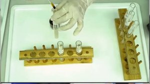 Зертханалық жұмыс. 10-сынып.  Ферменттердің белсенділігіне әртүрлі ортаның әсері.