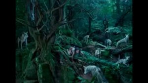 Бегущая с волками К П Эстес Аудиокнига Глава6