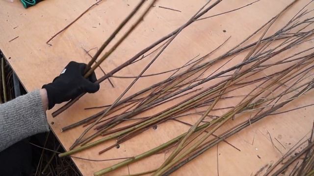 Русская ива. Строительство промышленной теплицы для ивы. смотреть онлайн